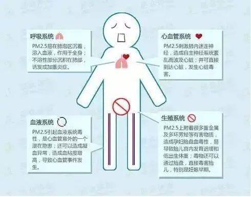 12个最经典的室内健身手脚八戒体育(图2)